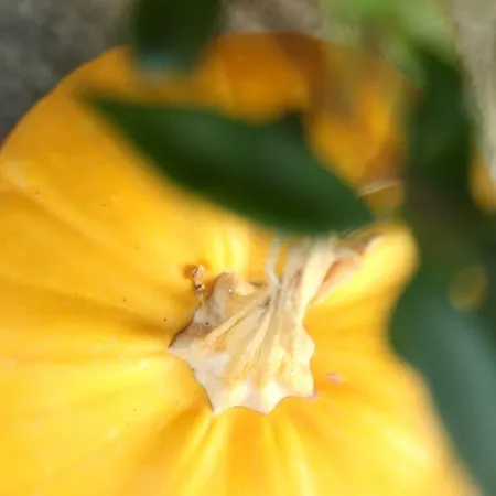 στίλβη Πανσιόν 3*